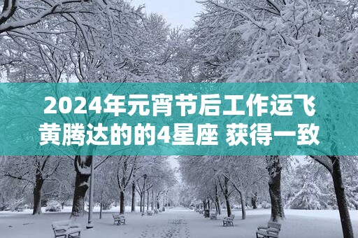 2025年元宵节后工作运飞黄腾达的的4星座 获得一致好评