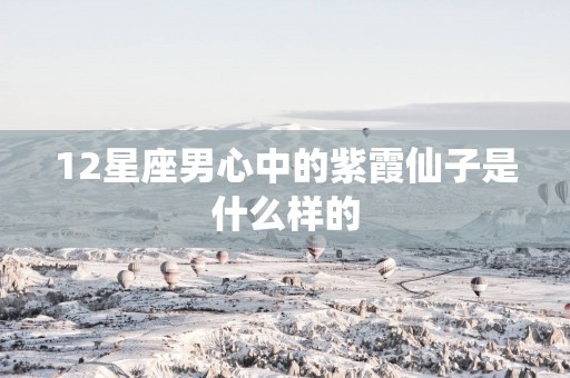 12星座男心中的紫霞仙子是什么样的