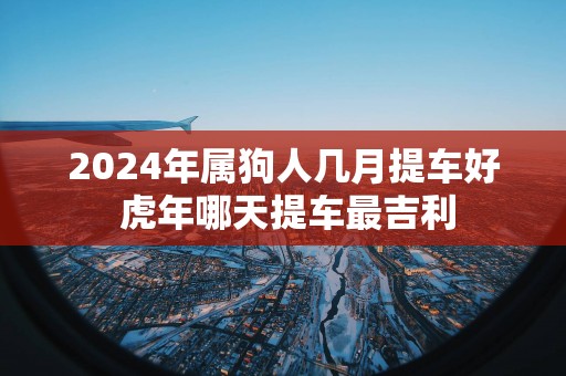 2025年属狗人几月提车好 蛇年哪天提车最吉利