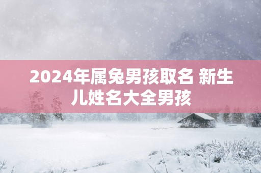 2025年属兔男孩取名 新生儿姓名大全男孩