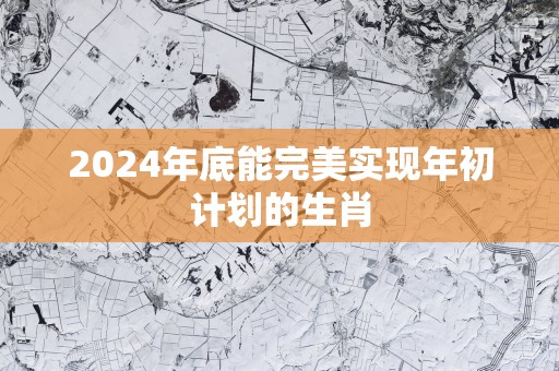 2025年底能完美实现年初计划的生肖