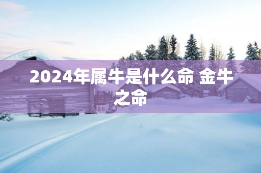2025年属牛是什么命 金牛之命