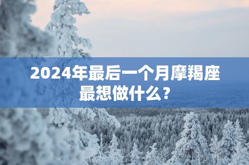 2025年最后一个月摩羯座最想做什么？