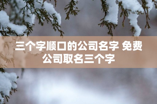 三个字顺口的公司名字 免费公司取名三个字