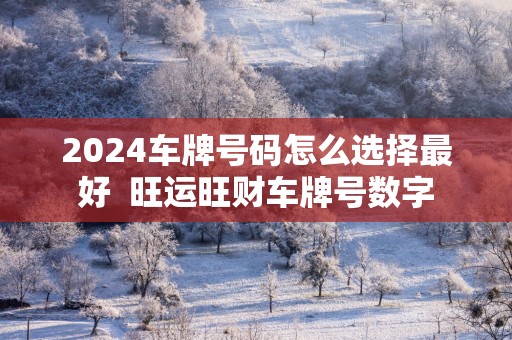 2025车牌号码怎么选择最好  旺运旺财车牌号数字