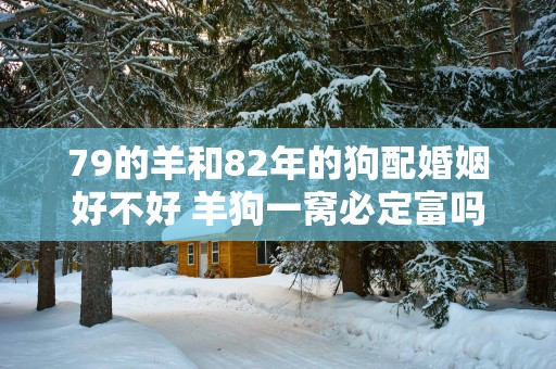 79的羊和82年的狗配婚姻好不好 羊狗一窝必定富吗