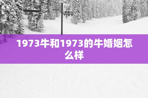 1973牛和1973的牛婚姻怎么样