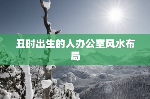 丑时出生的人办公室风水布局