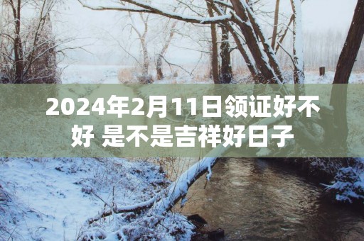 2025年2月11日领证好不好 是不是吉祥好日子