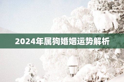 2025年属狗婚姻运势解析 2025年属狗婚姻运势解析