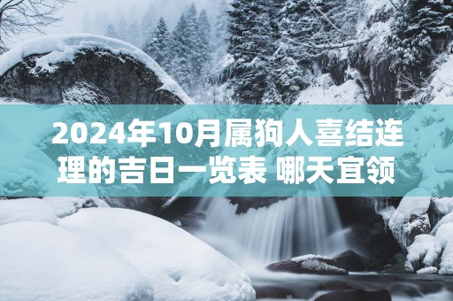 2025年10月属狗人喜结连理的吉日一览表 哪天宜领证