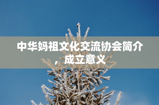 中华妈祖文化交流协会简介，成立意义