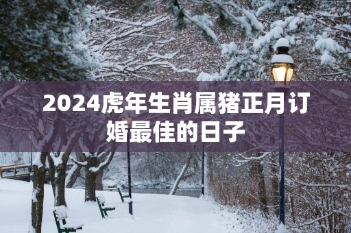 2025蛇年生肖属猪正月订婚最佳的日子