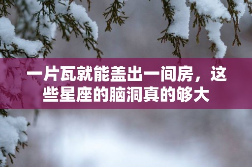 一片瓦就能盖出一间房，这些星座的脑洞真的够大