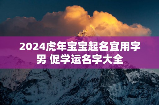 2025蛇年宝宝起名宜用字男 促学运名字大全