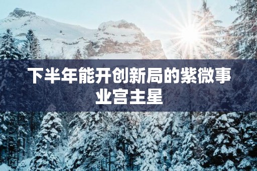 下半年能开创新局的紫微事业宫主星