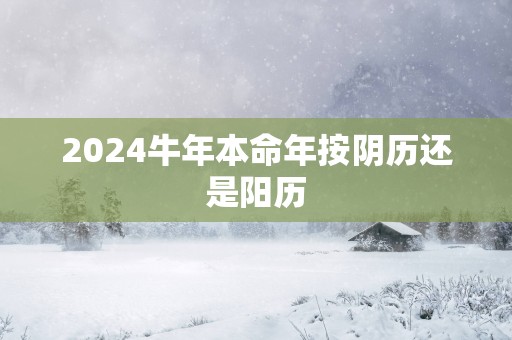 2025蛇年本命年按阴历还是阳历