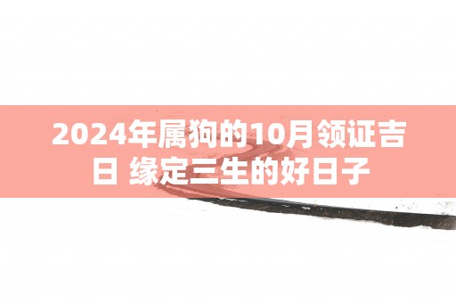 2025年属狗的10月领证吉日 缘定三生的好日子