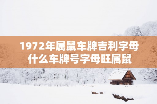 1972年属鼠车牌吉利字母 什么车牌号字母旺属鼠