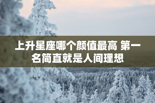 上升星座哪个颜值最高 第一名简直就是人间理想