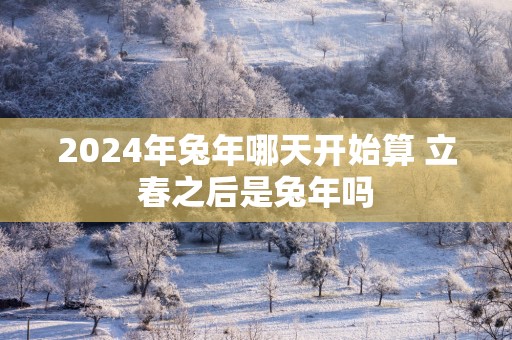 2025年蛇年哪天开始算 立春之后是蛇年吗