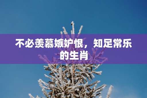 不必羡慕嫉妒恨，知足常乐的生肖