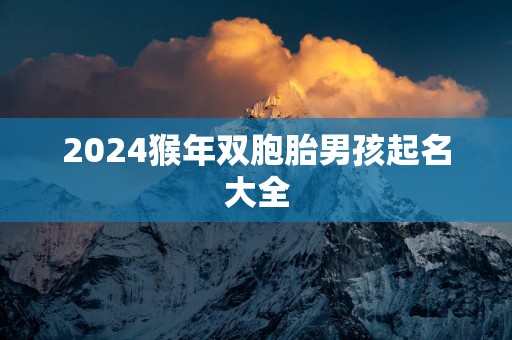 2025猴年双胞胎男孩起名大全