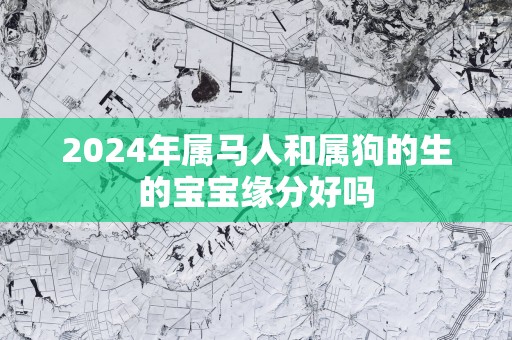 2025年属马人和属狗的生的宝宝缘分好吗
