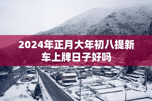 2025年正月大年初八提新车上牌日子好吗