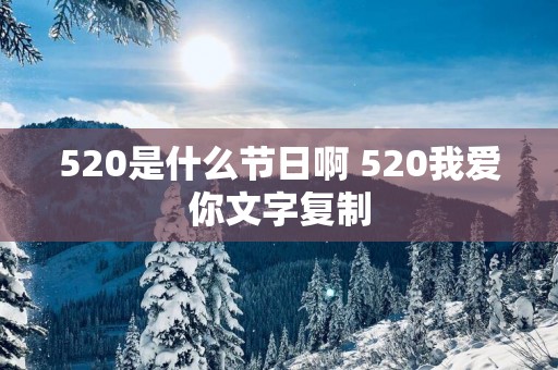 520是什么节日啊 520我爱你文字复制