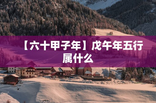 【六十甲子年】戊午年五行属什么