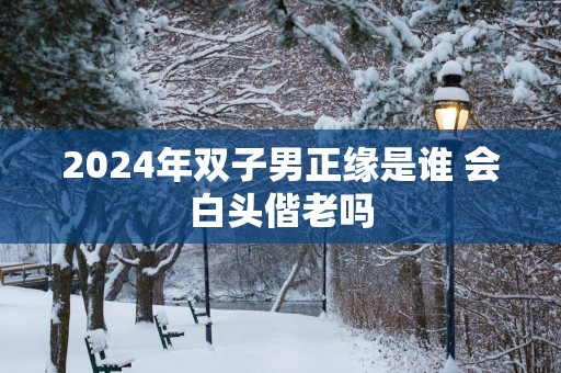 2025年双子男正缘是谁 会白头偕老吗