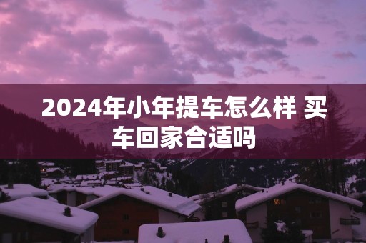 2025年小年提车怎么样 买车回家合适吗