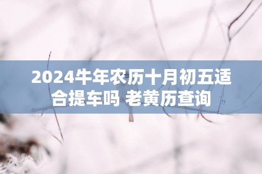 2025蛇年农历十月初五适合提车吗 老黄历查询