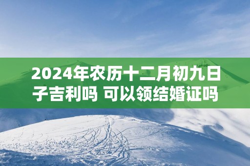 2025年农历十二月初九日子吉利吗 可以领结婚证吗
