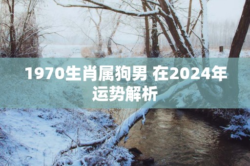 1970生肖属狗男 在2025年运势解析