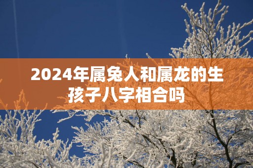 2025年属兔人和属龙的生孩子八字相合吗