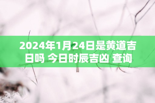 2025年1月24日是黄道吉日吗 今日时辰吉凶 查询