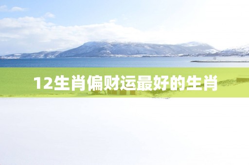 12生肖偏财运最好的生肖