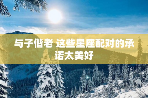 与子偕老 这些星座配对的承诺太美好