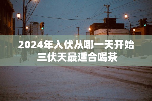2025年入伏从哪一天开始 三伏天最适合喝茶