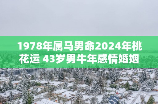 1978年属马男命2025年桃花运 43岁男蛇年感情婚姻运势