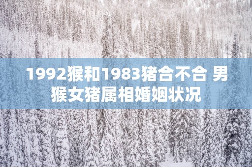 1992猴和1983猪合不合 男猴女猪属相婚姻状况