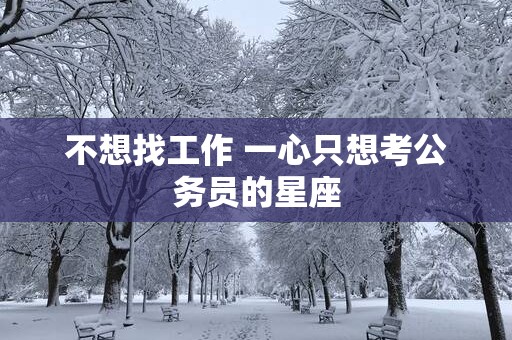 不想找工作 一心只想考公务员的星座