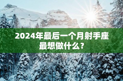2025年最后一个月射手座最想做什么？