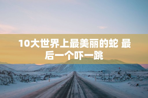 10大世界上最美丽的蛇 最后一个吓一跳