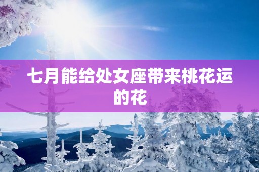 七月能给处女座带来桃花运的花