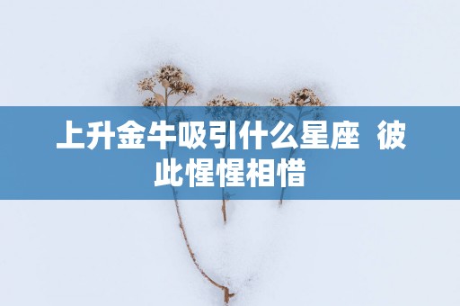 上升金牛吸引什么星座  彼此惺惺相惜