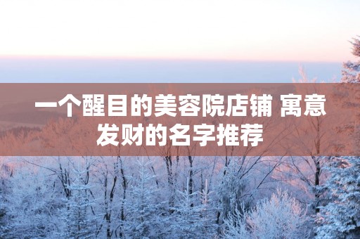 一个醒目的美容院店铺 寓意发财的名字推荐