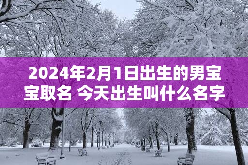 2025年2月1日出生的男宝宝取名 今天出生叫什么名字好